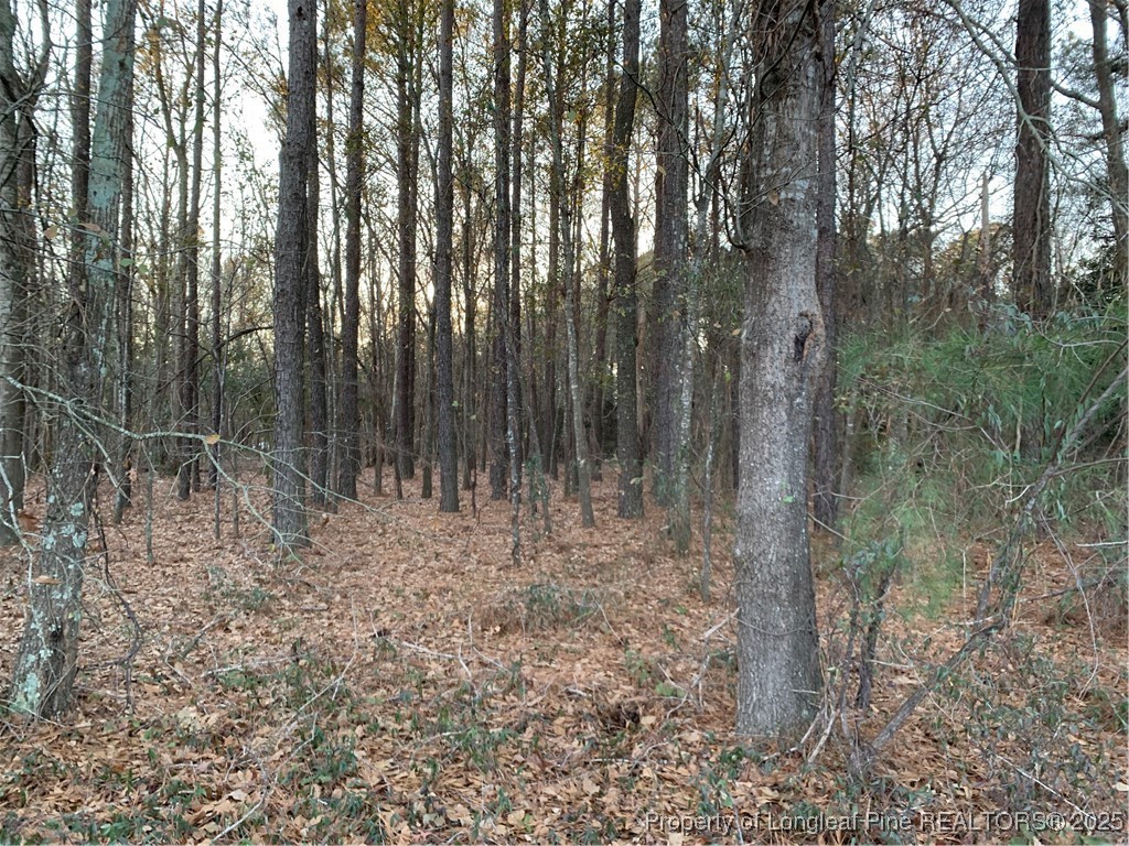 7515 Stoney Point Road Fayetteville, NC 28306 - Photo 4 of 14 Gallery Image 4