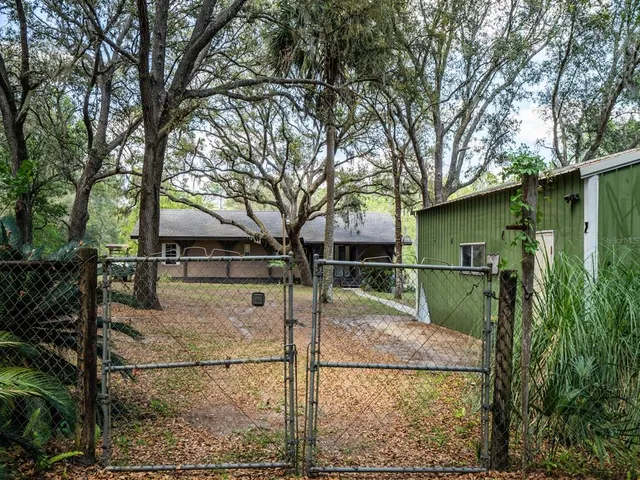 a view of backyard of the house