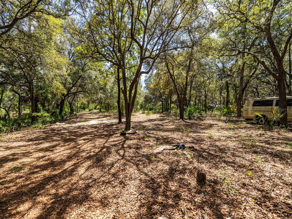 13455 Northeast 228 Ln Road Fort McCoy, FL 32134 - Photo 39 of 51 a view of outdoor space with trees