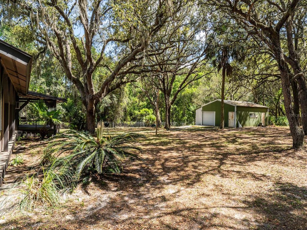 13455 Northeast 228 Ln Road Fort McCoy, FL 32134 - Photo 40 of 51 a view of outdoor space with deck and tree