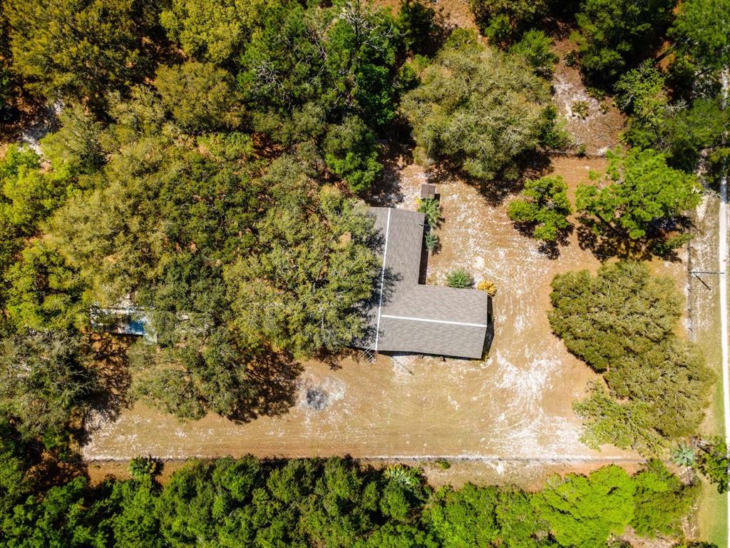 13455 Northeast 228 Ln Road Fort McCoy, FL 32134 - Photo 43 of 51 a view of a yard with plants