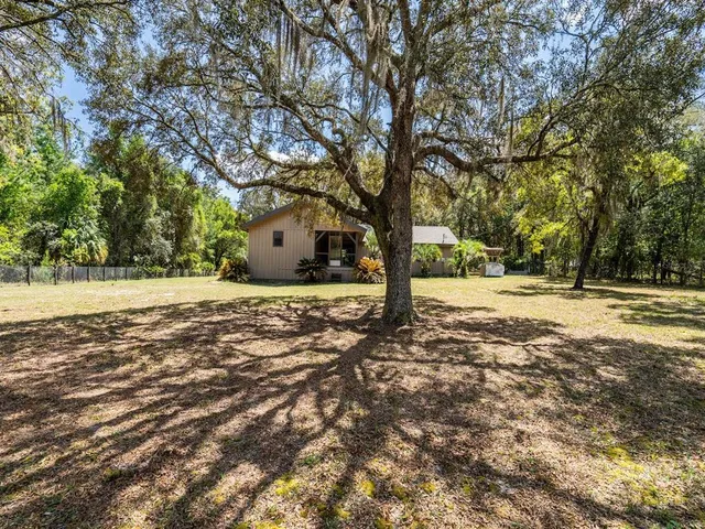 a view of yard with tree