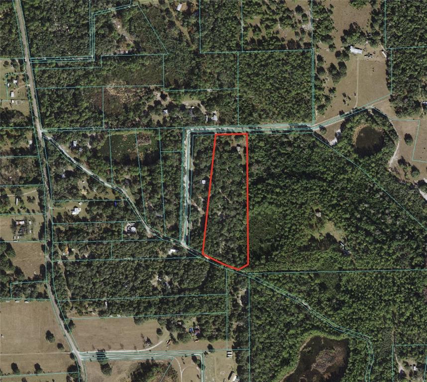 13455 Northeast 228 Ln Road Fort McCoy, FL 32134 - Photo 51 of 51