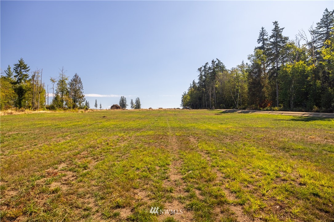 9675 Bayview Edison Road Bow, WA 98232 - Photo 8 of 12 Gallery Image 8