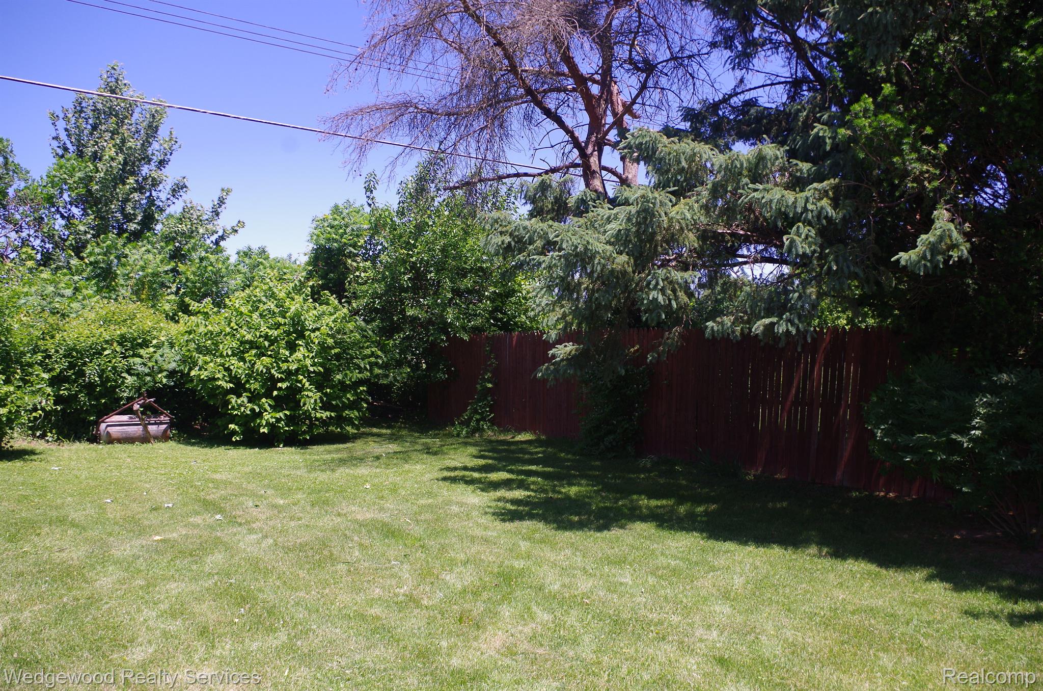 2107 Bowers Road Lapeer, MI 48446 - Photo 6 of 26 Side yard mulberry bushes