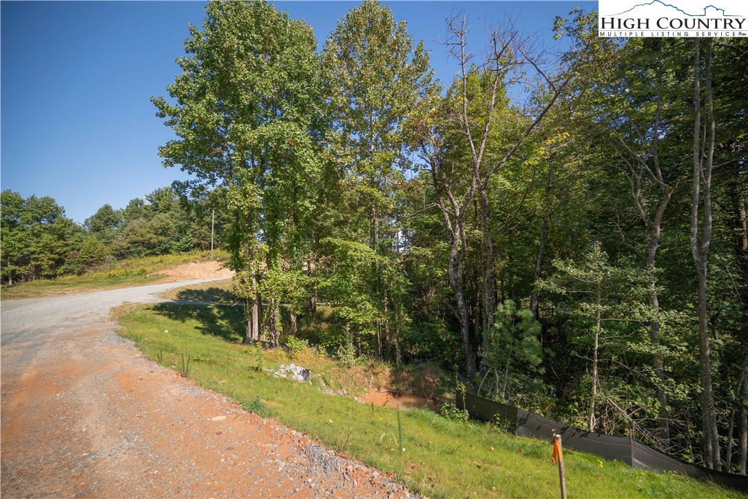 Lot 137 Angelfire Trail Deep Gap, NC 28618 - Photo 3 of 27 a view of a park with large trees