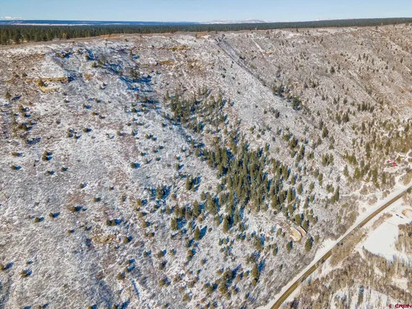 a view of wooden floor