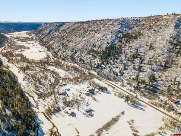 a view of a dry yard