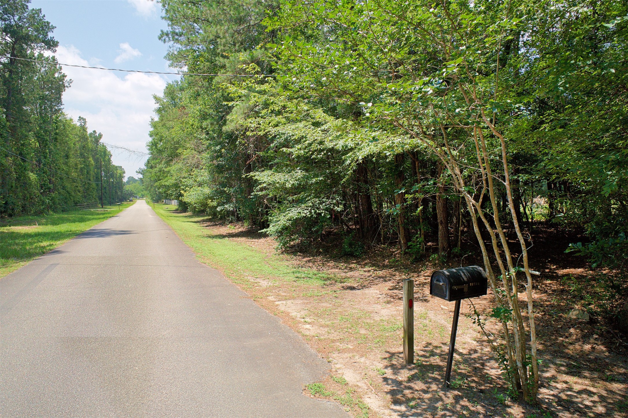 14736 Kyle Lane Conroe, TX 77306 - Photo 1 of 6 a view of an outdoor space