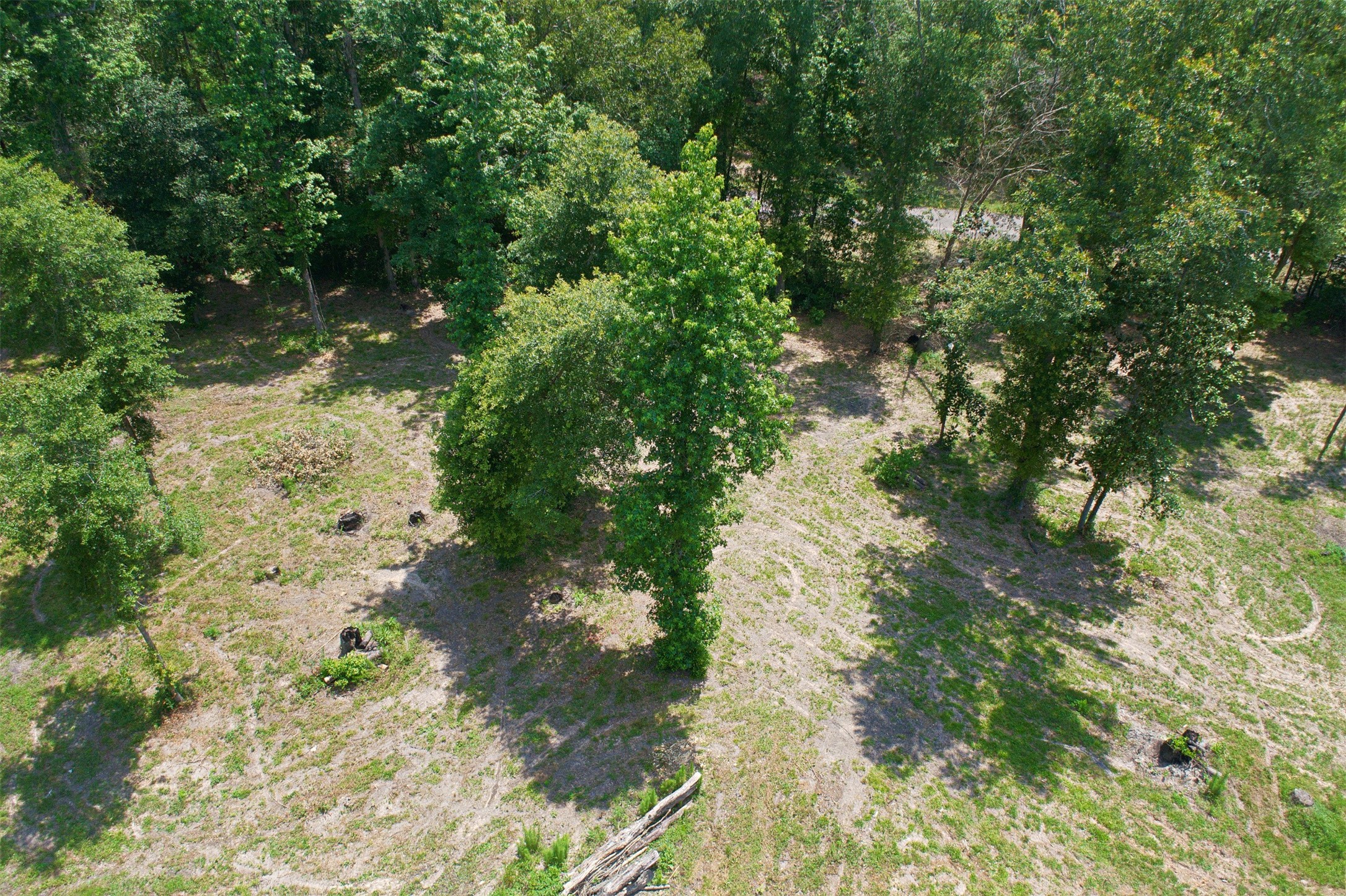 14736 Kyle Lane Conroe, TX 77306 - Photo 2 of 6 a backyard of a house with a yard