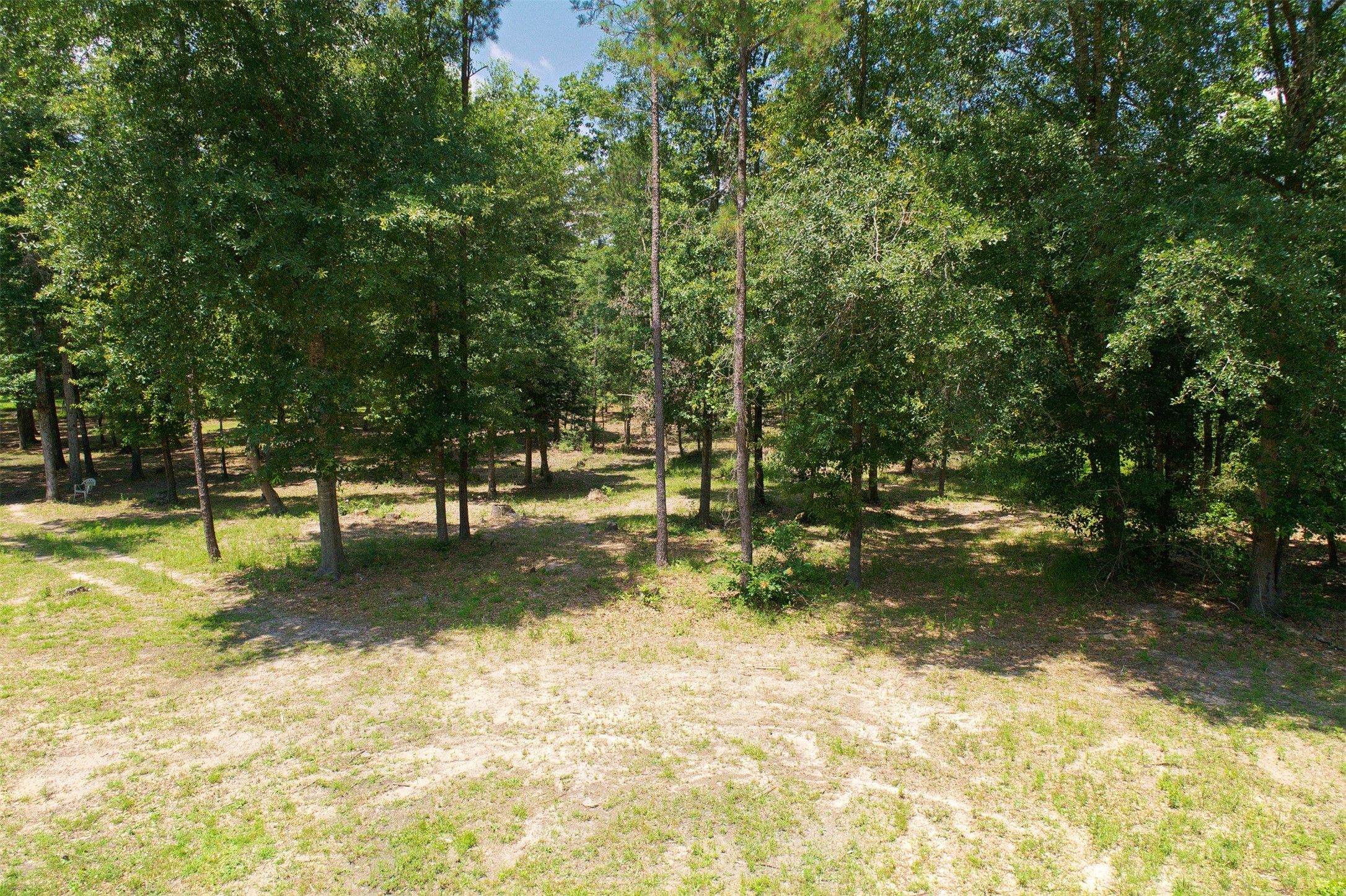 14736 Kyle Lane Conroe, TX 77306 - Photo 3 of 6 a view of swimming pool with yard