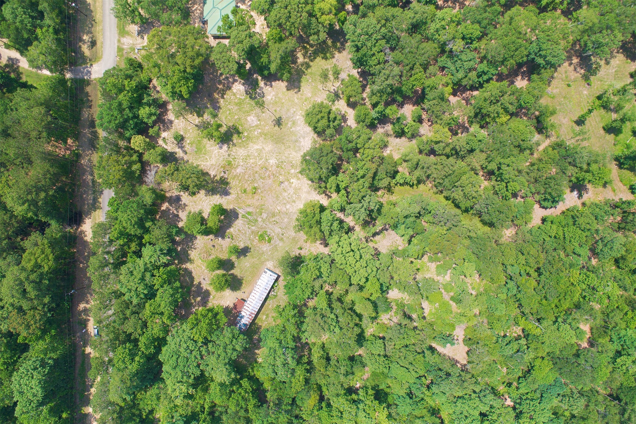 14736 Kyle Lane Conroe, TX 77306 - Photo 5 of 6 a view of a lush green forest with lots of trees