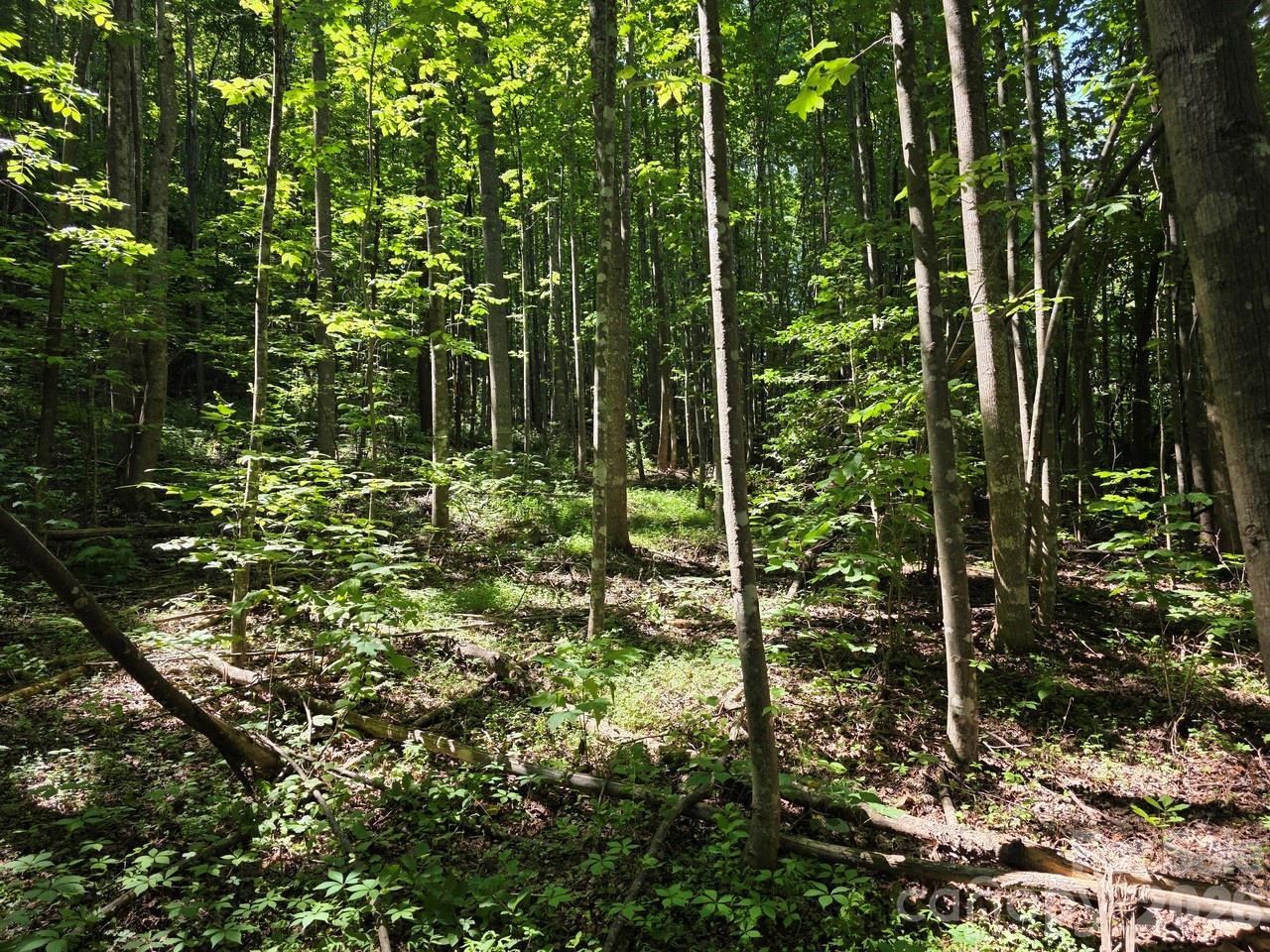 Lot 45 South S View Marion, NC 28752 - Photo 4 of 10