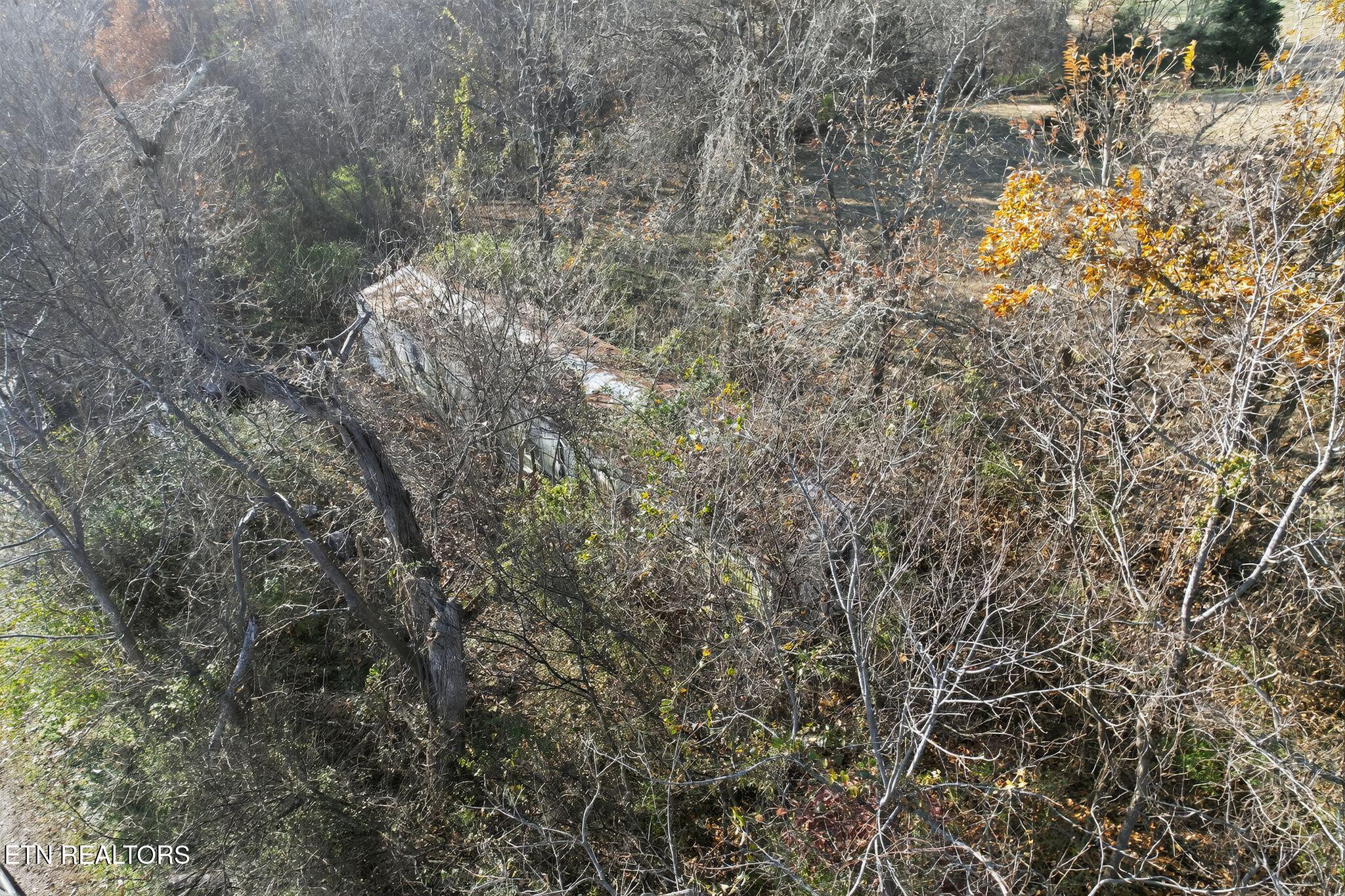 1637 Sheets Hollow Road Greenback, TN 37742 - Photo 11 of 17 11_1637_Sheets_Hollow_Rd_Greenback_TN_37