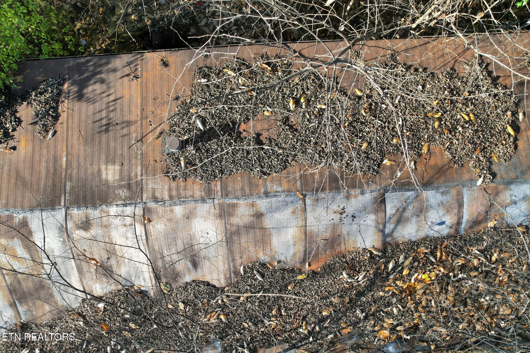 1637 Sheets Hollow Road Greenback, TN 37742 - Photo 17 of 17 17_1637_Sheets_Hollow_Rd_Greenback_TN_37