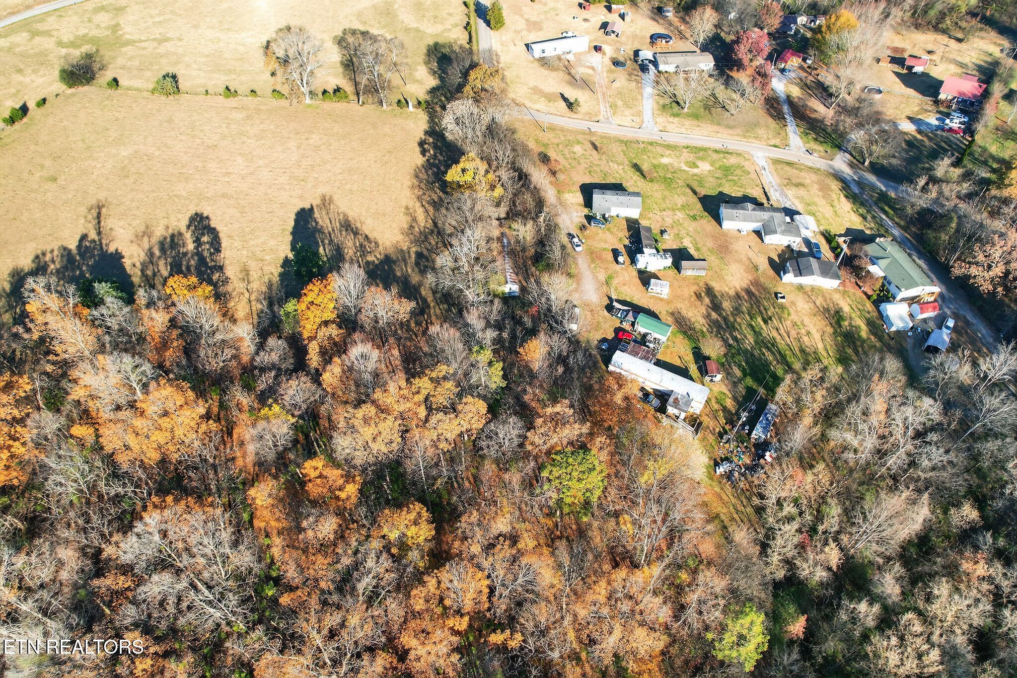 1637 Sheets Hollow Road Greenback, TN 37742 - Photo 6 of 17 06_1637_Sheets_Hollow_Rd_Greenback_TN_37