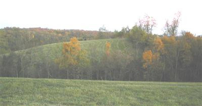 1100 East Union Road Carlisle, KY 40311 - Photo 10 of 13 Photo 10