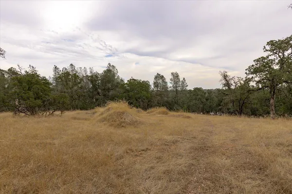 a view of dirt field with trees in background