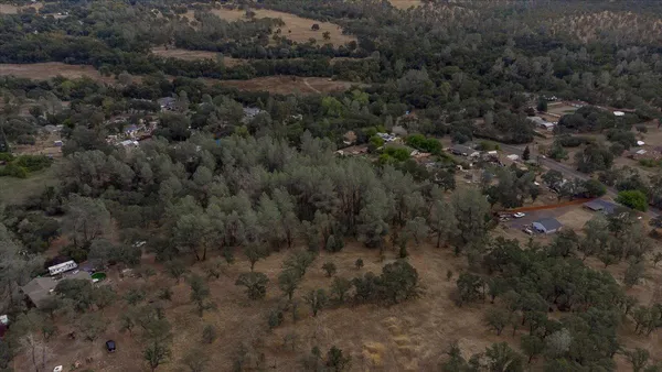 a view of a forest with a houses