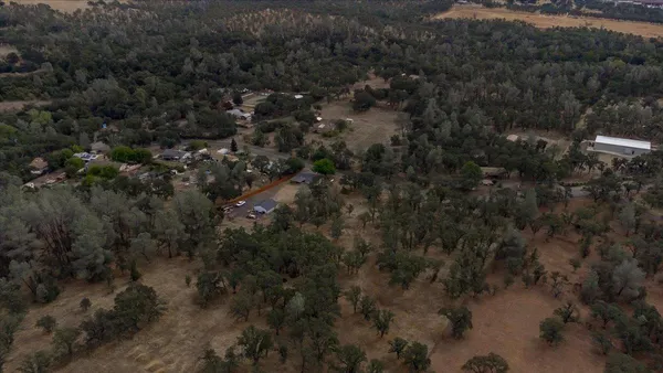 a view of a forest with a building