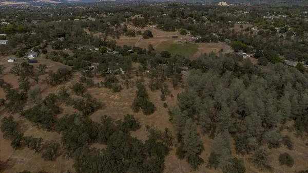 a view of a city with lush green forest