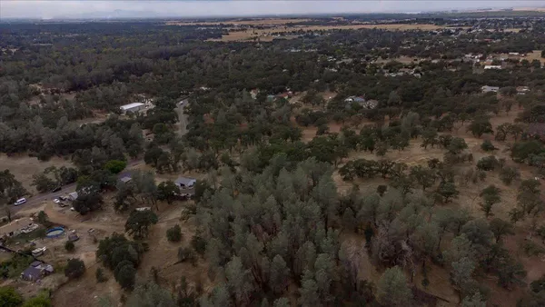 a view of a yard in a forest