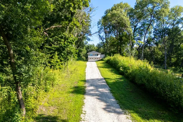 a view of a pathway both side of yard