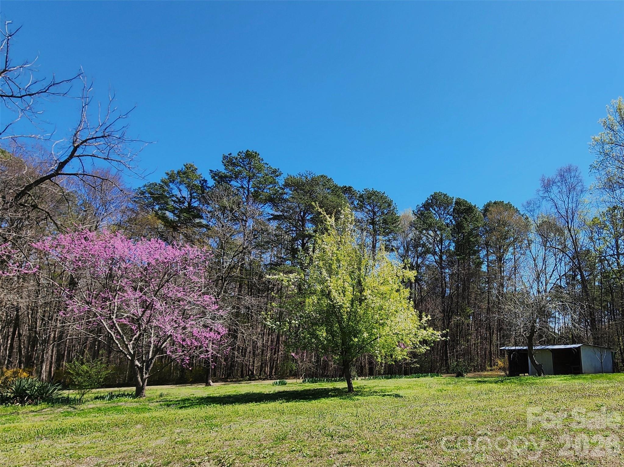 217 St John Street Dallas, NC 28034 - Photo 34 of 34 a backyard of a house with lots of green space