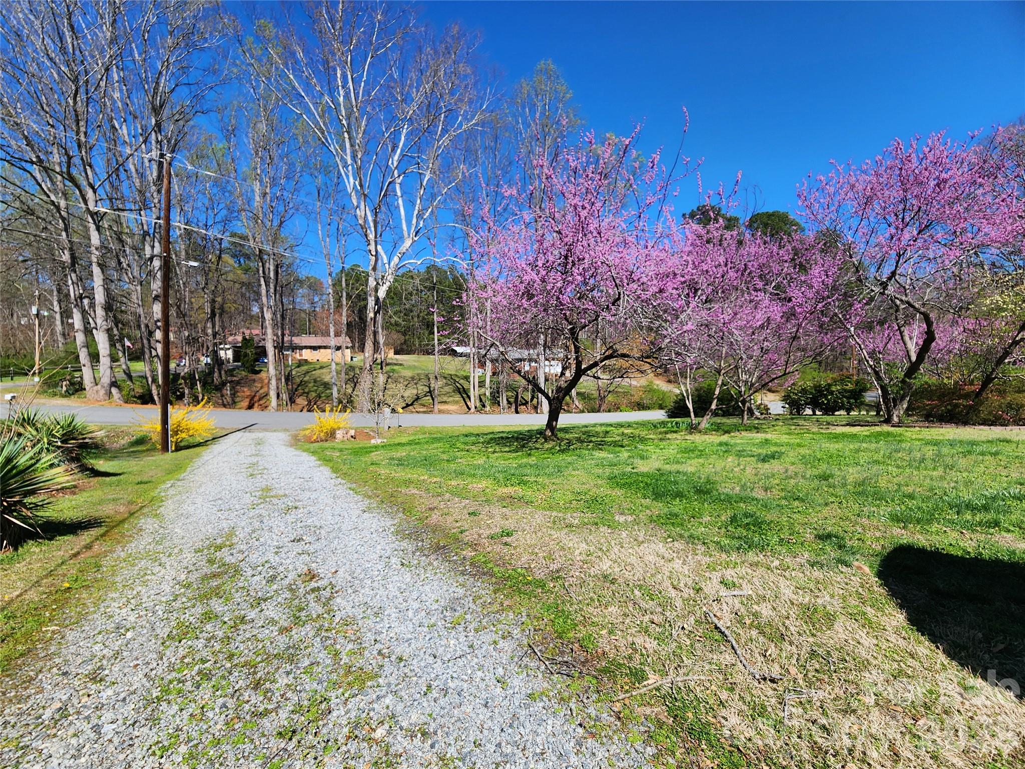 217 St John Street Dallas, NC 28034 - Photo 7 of 34 a view of a park with tree s