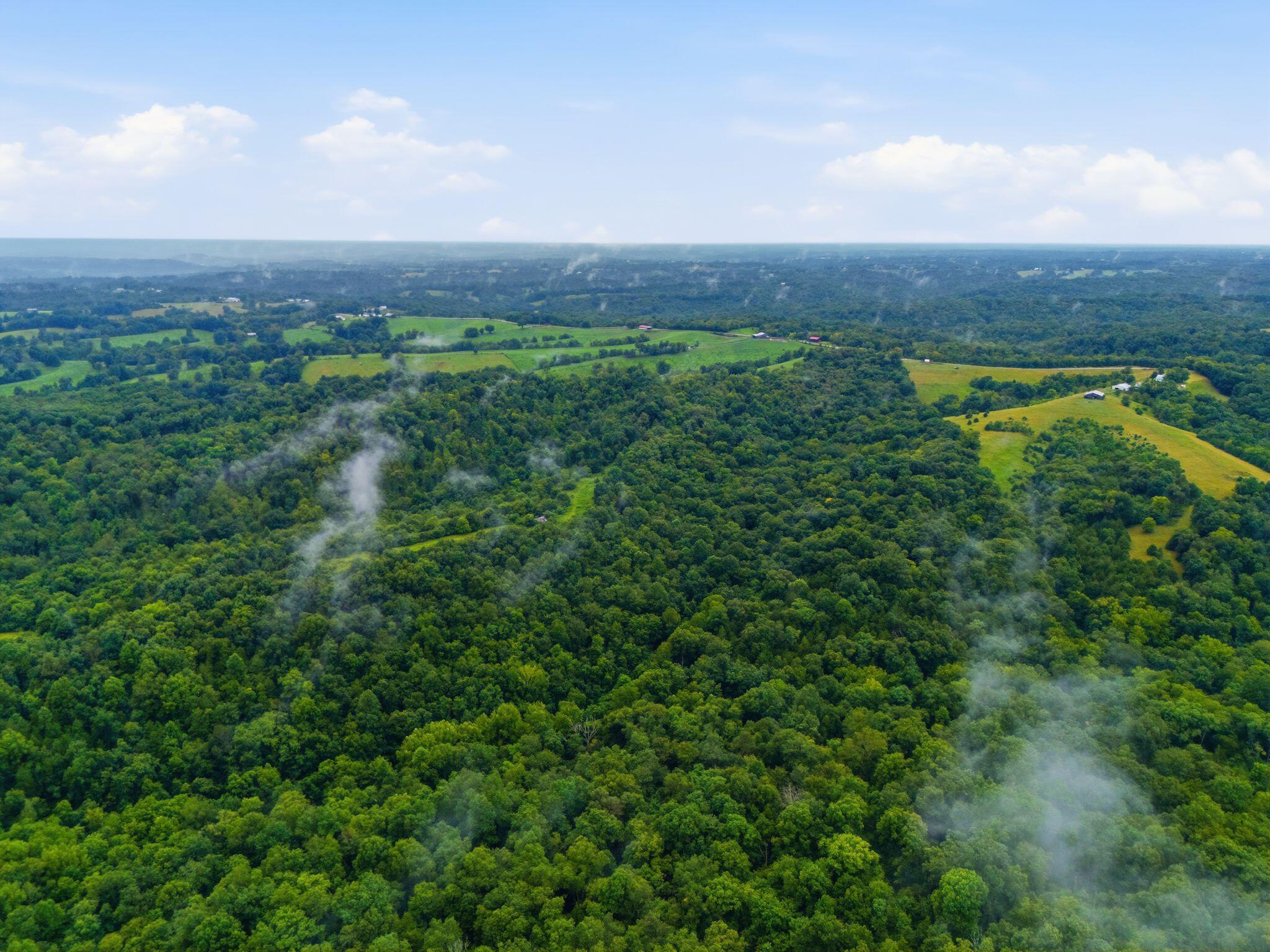 165 Rye Road Mount Olivet, KY 41064 - Photo 9 of 11 1_dji_20260812140407_0103_d