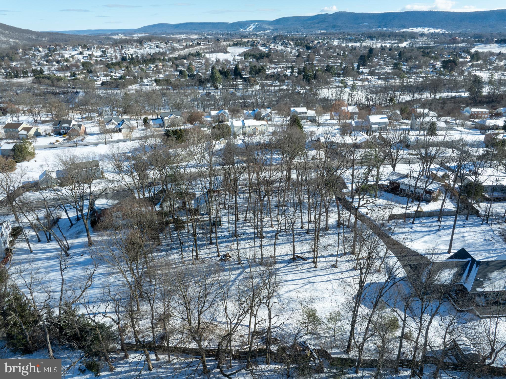933 Oak Ridge Avenue State College, PA 16801 - Photo 4 of 12 a view of a city