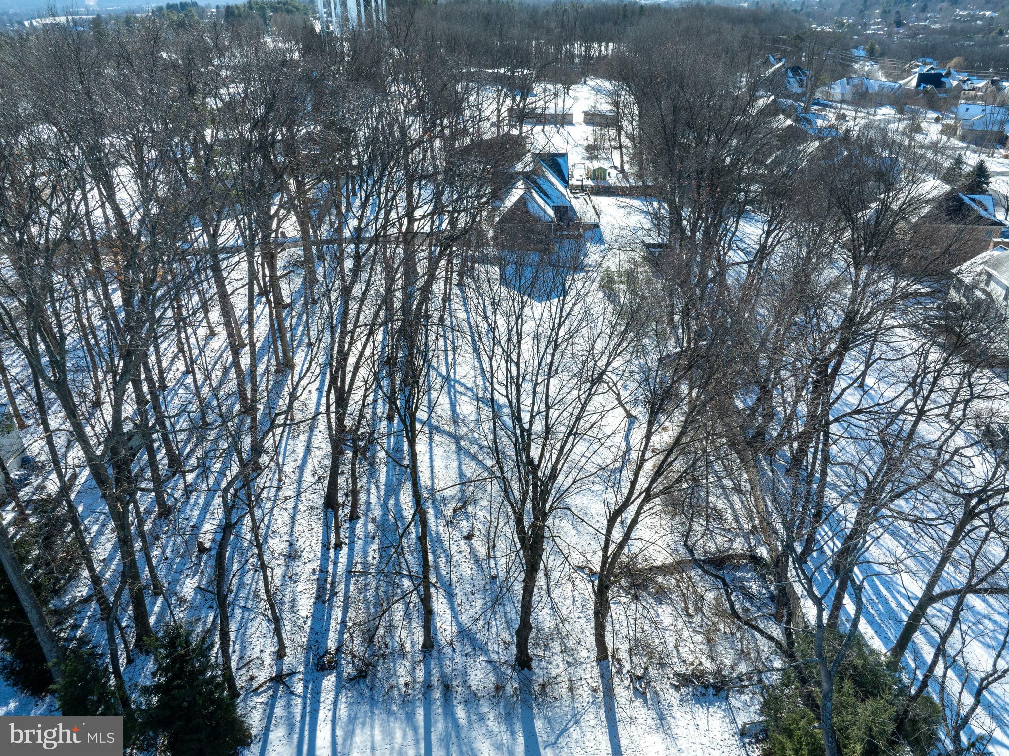 933 Oak Ridge Avenue State College, PA 16801 - Photo 9 of 12 a picture of street view