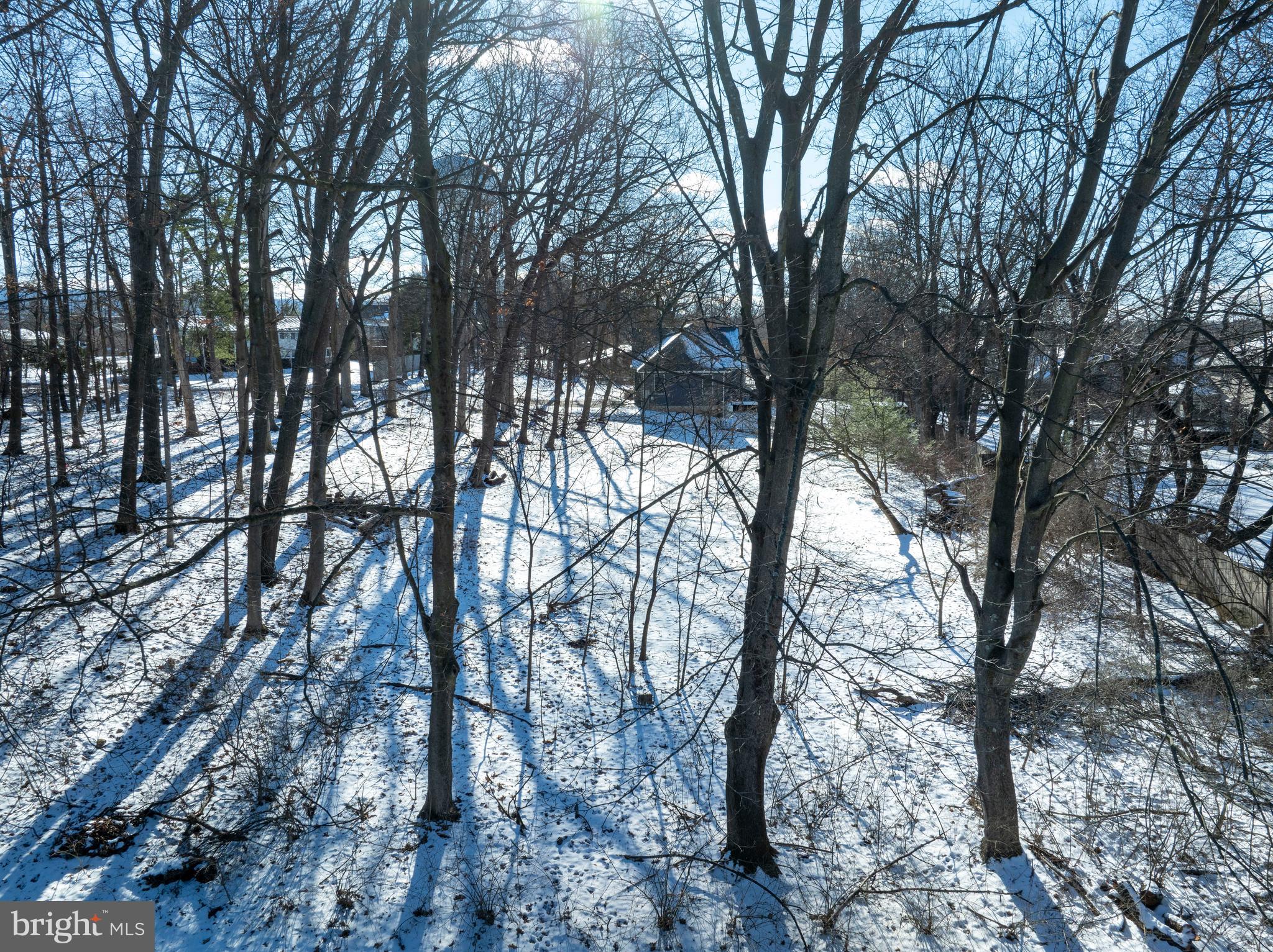 933 Oak Ridge Avenue State College, PA 16801 - Photo 10 of 12 a view of tree
