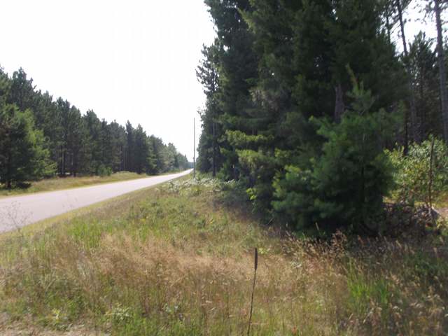 On Boot Lake Road, Unit LOT 10 Eagle River, WI 54521 - Photo 4 of 8 Gallery Image 4