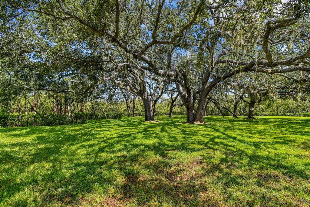 4829 Onyx Lane, Unit 101 New Port Richey, FL 34652 - Photo 35 of 74