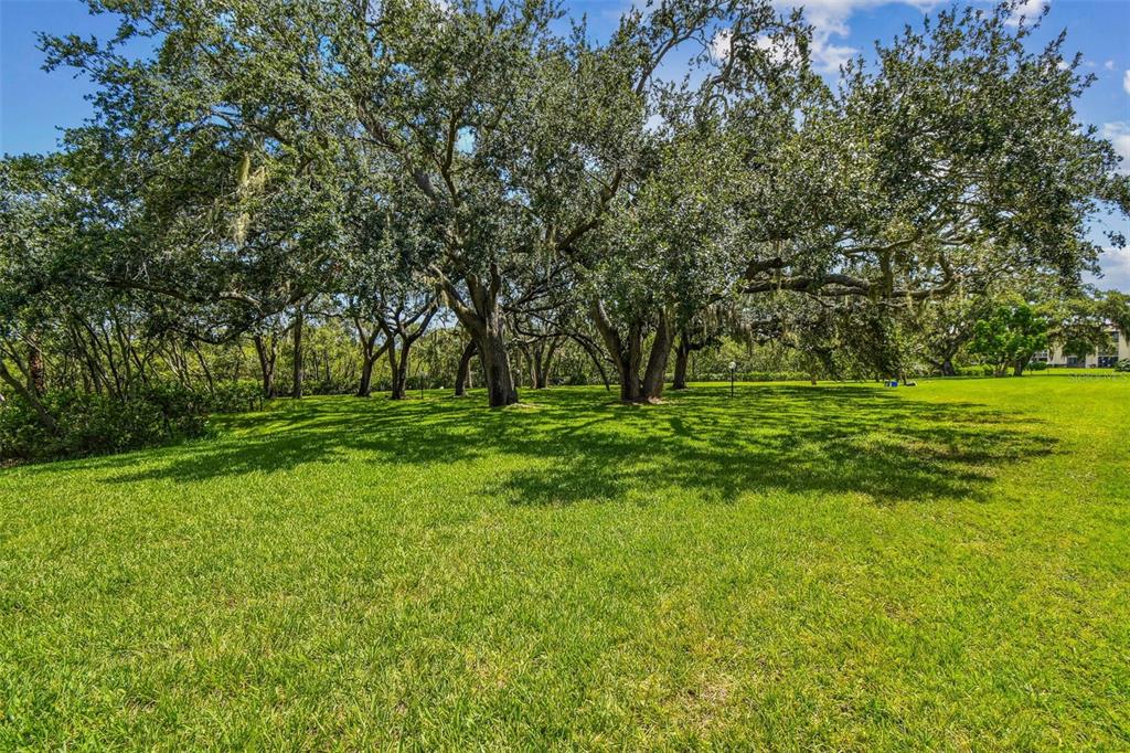 4829 Onyx Lane, Unit 101 New Port Richey, FL 34652 - Photo 36 of 74