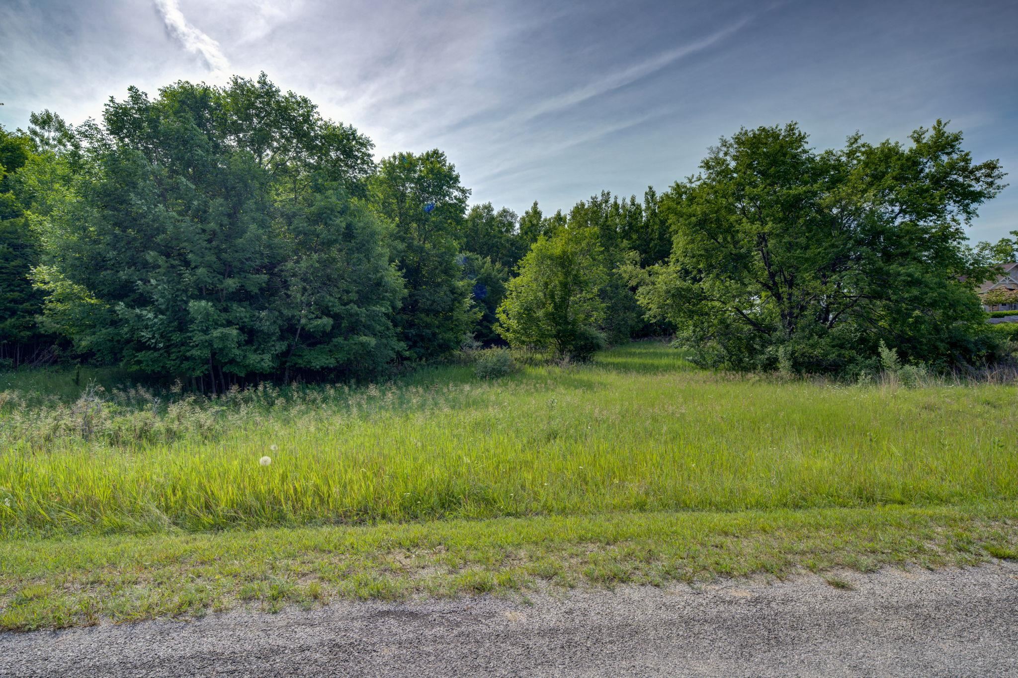 Lot 9 West Harbour Ridge Drive Maple City, MI 49664 - Photo 17 of 24 1947403-960845f5-87b2-40ae-871a-5f846b38b6ec.JPG