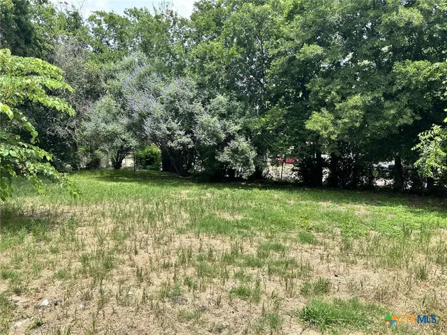 a view of a yard with a trees