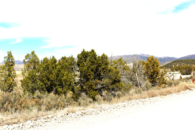 North W, Unit 93 Fairview, UT 84629 - Photo 2 of 23