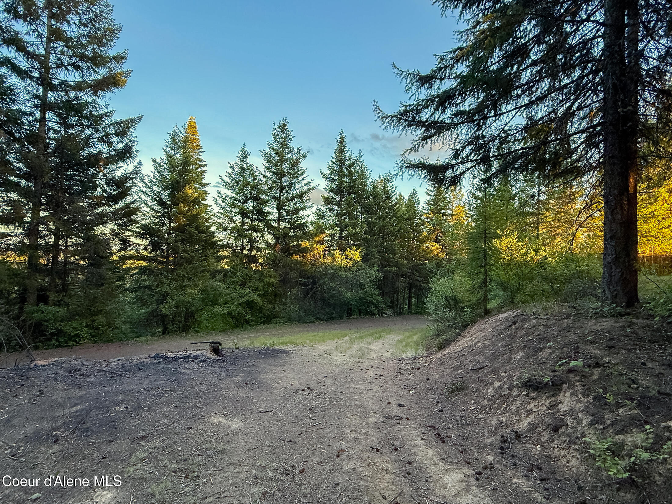 Lot 3 Ridgeview Drive St. Maries, ID 83861 - Photo 7 of 26 30