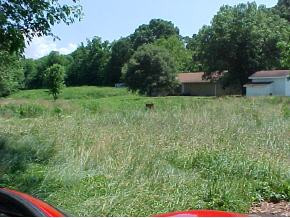 107 H Heaton Road Elizabethton, TN 37643 - Photo 3 of 3 Photo 3