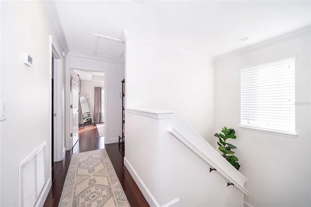 a hallway with a potted plant on the floor and a large window