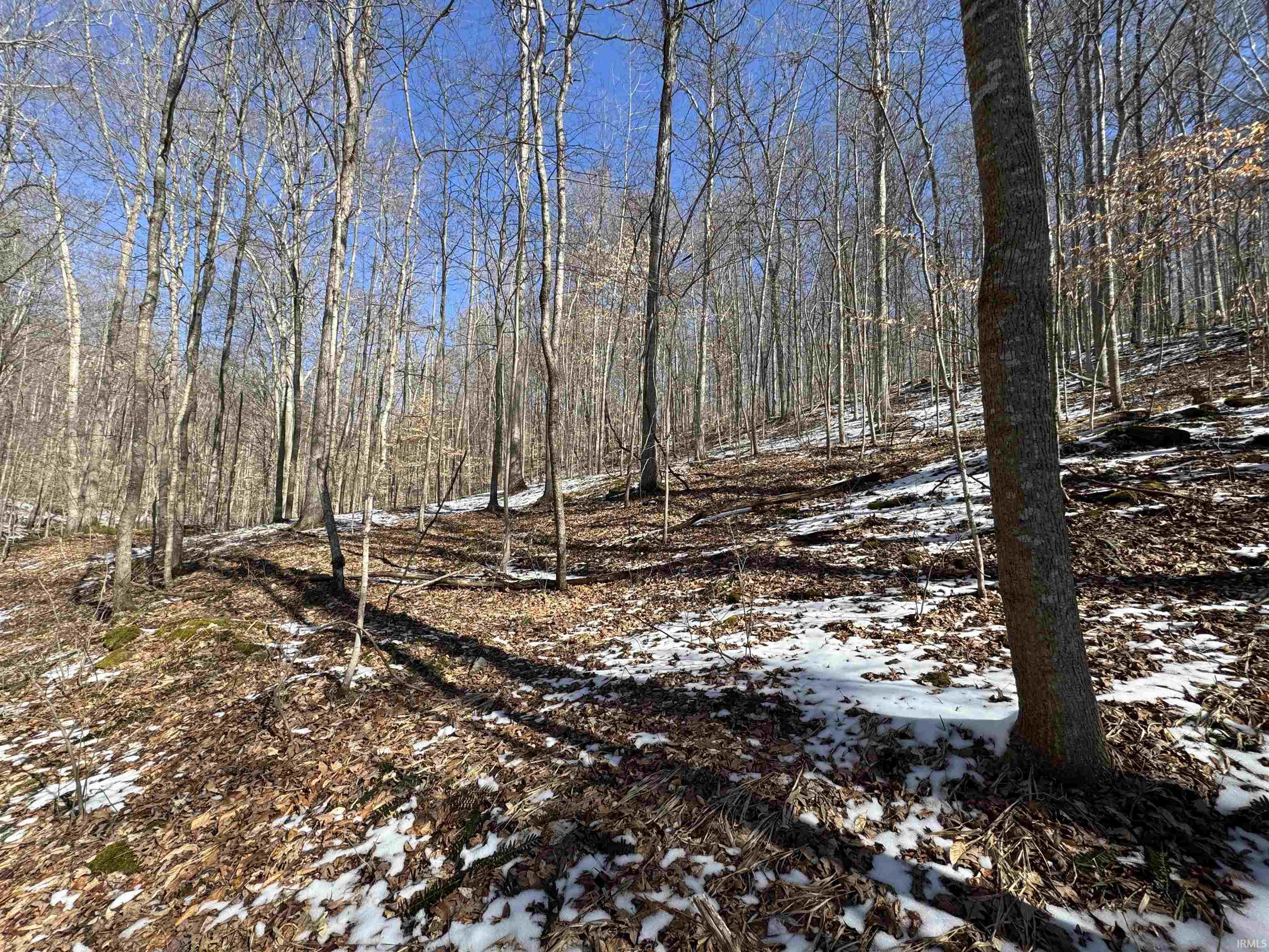 5 State Road 237 English, IN 47118 - Photo 21 of 36