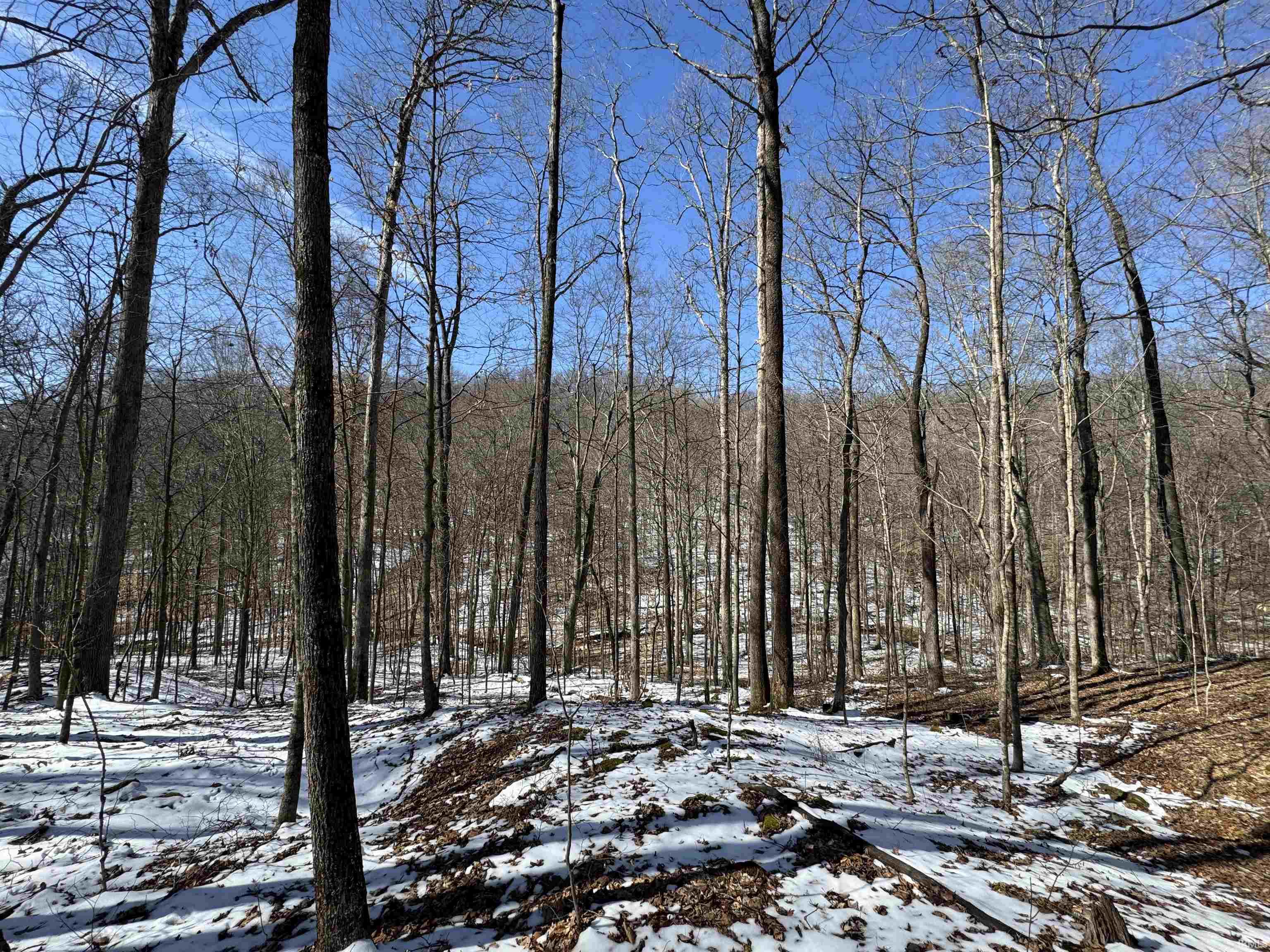 5 State Road 237 English, IN 47118 - Photo 24 of 36