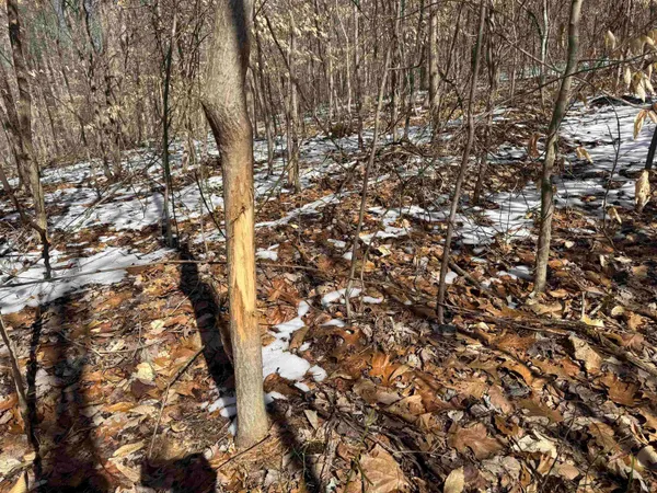 $447,900 | 5 State Road 237, English, IN 47118