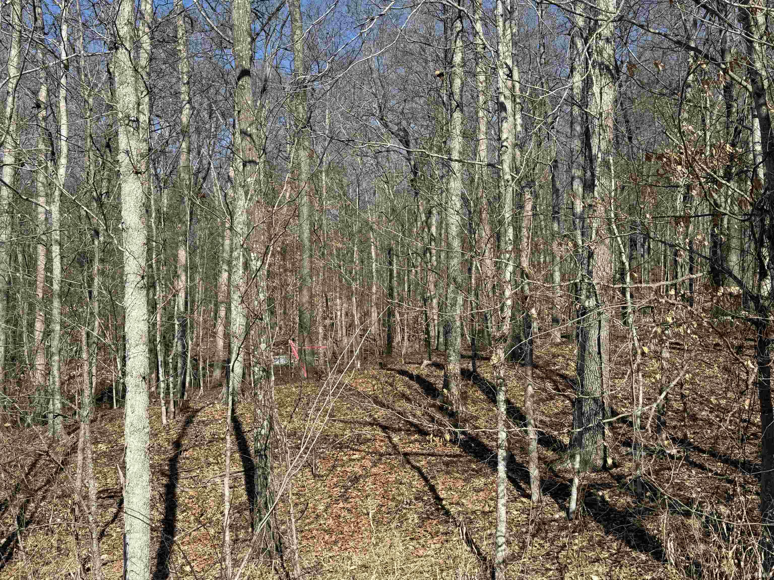 5 State Road 237 English, IN 47118 - Photo 7 of 36