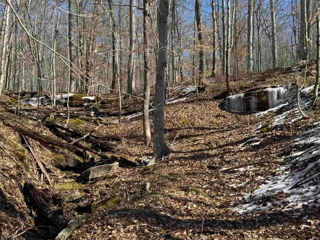 $438,460 | 5 State Road 237, English, IN 47118