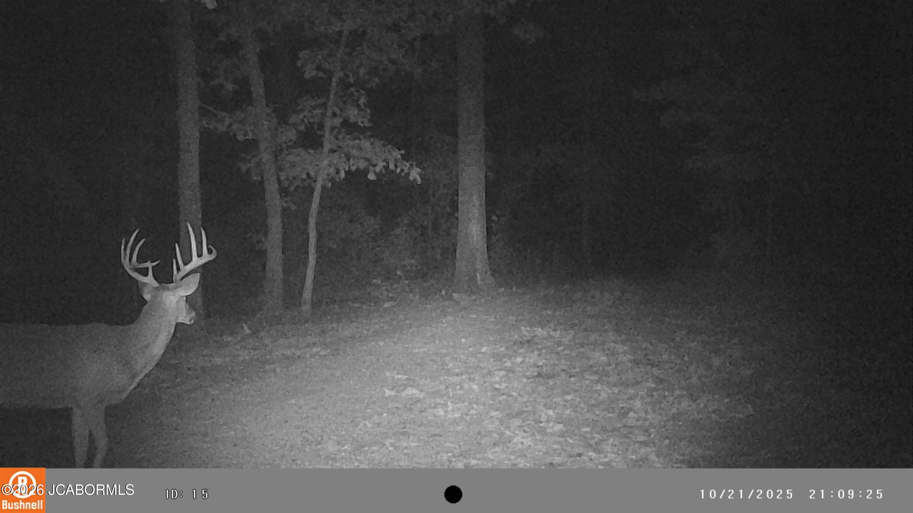 5754 Dry Branch Road St. Clair, MO 63077 - Photo 18 of 20