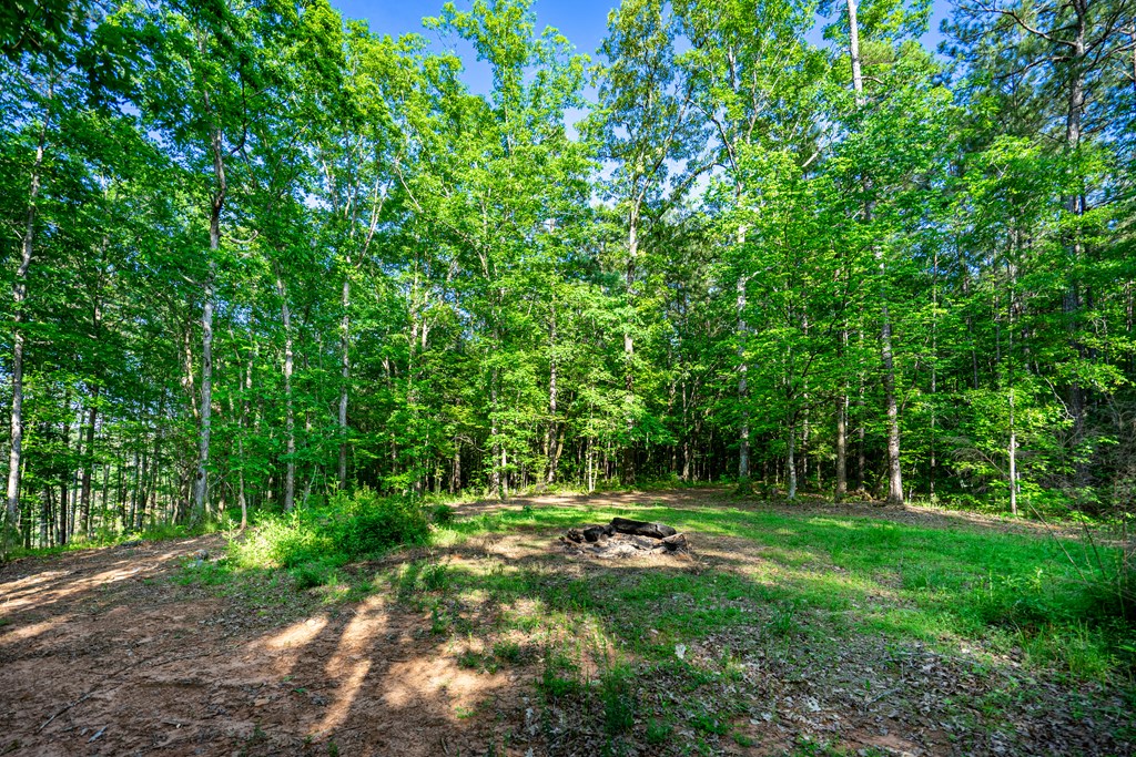 153 North Whatley Road LaGrange, GA 30240 - Photo 13 of 67