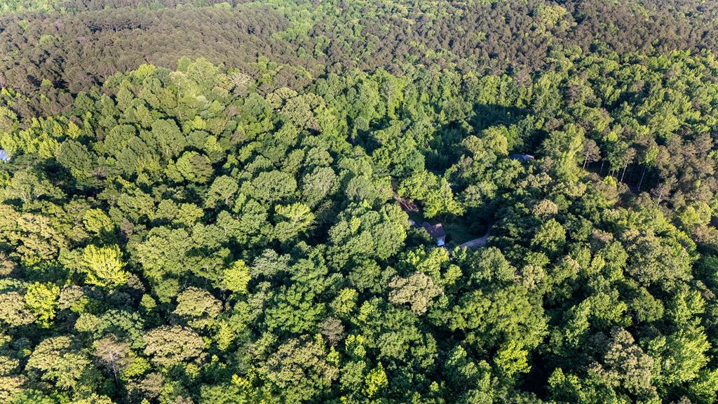 153 North Whatley Road LaGrange, GA 30240 - Photo 63 of 67 a view of a lush green field